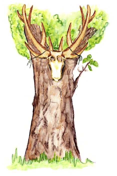 Illustration- Kinderbuch / Der Junge aus dem Wald 2021