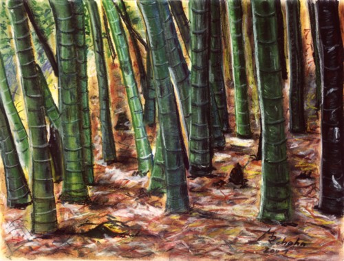 Japanischer Bambuswald 