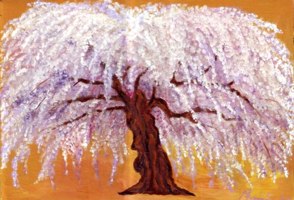 Japanischer Blütenbaum 